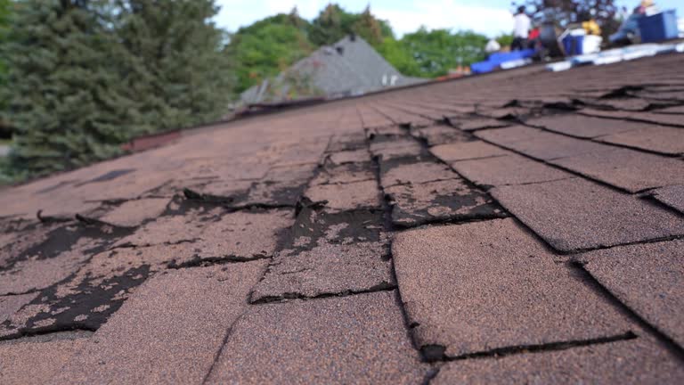 Best Rubber Roofing (EPDM, TPO)  in Fultonde, AL