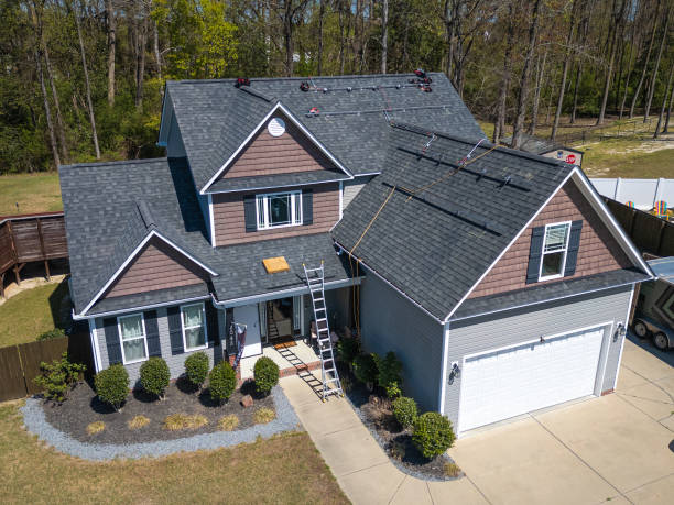 Best Roof Moss and Algae Removal  in Fultonde, AL